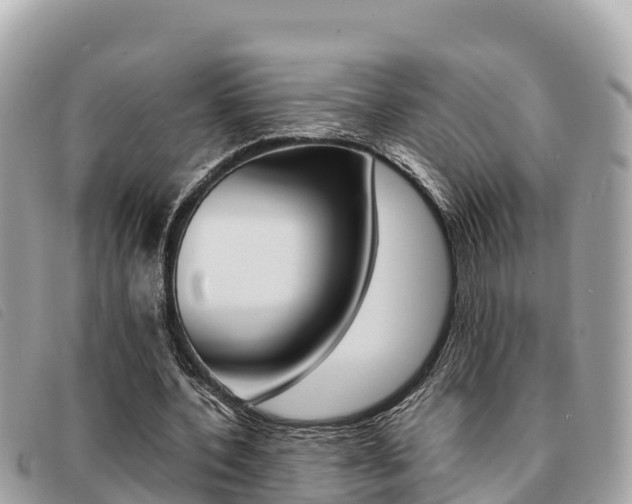 X0000091540532200708171012