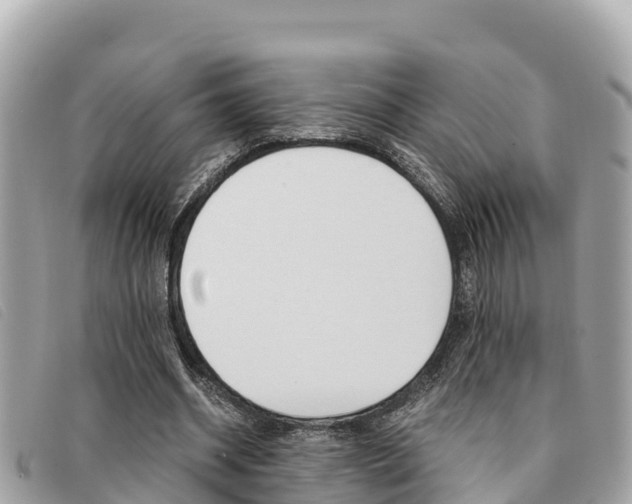 X0000091540534200708171012