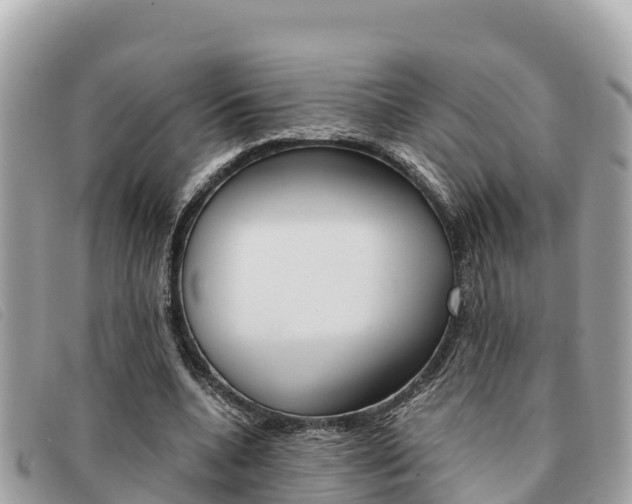 X0000091540536200708171012