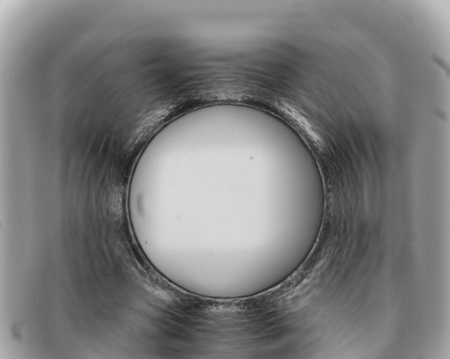 X0000091540537200708171012