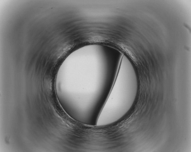 X0000091540539200708171012