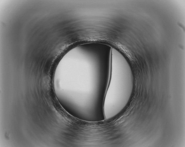 X0000091540540200708171012