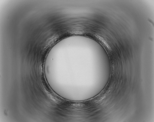 X0000091540541200708171012