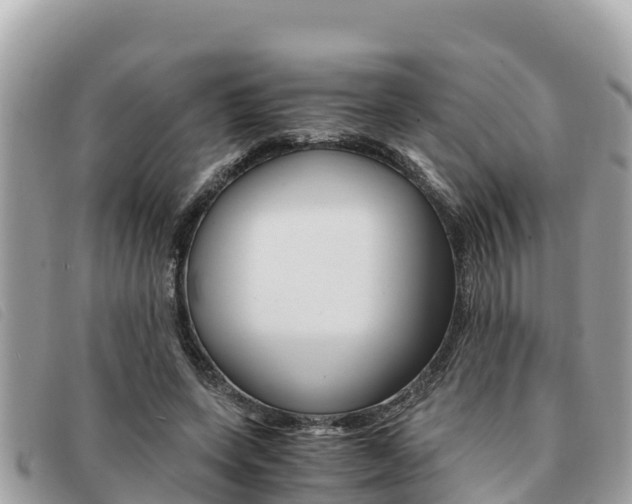 X0000091540543200708171012