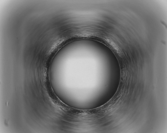 X0000091540544200708171012