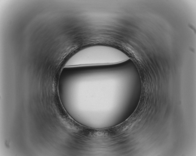 X0000091540546200708171012
