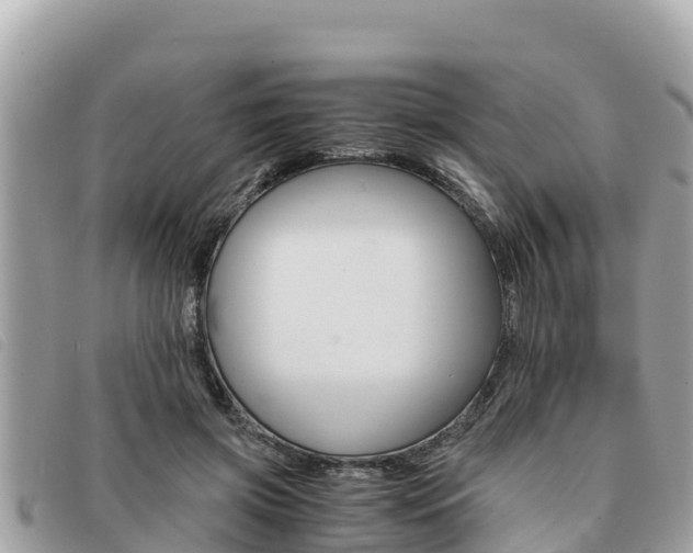 X0000091540549200708171012