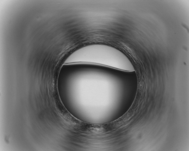 X0000091540552200708171012