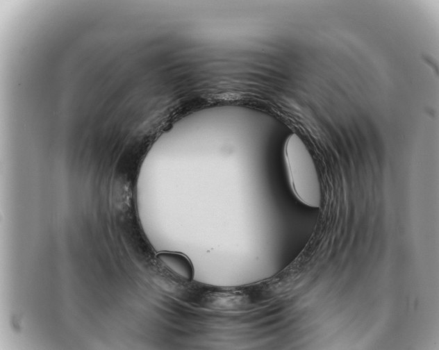 X0000091540555200708171012