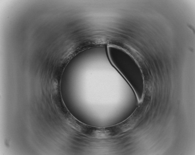 X0000091540556200708171012