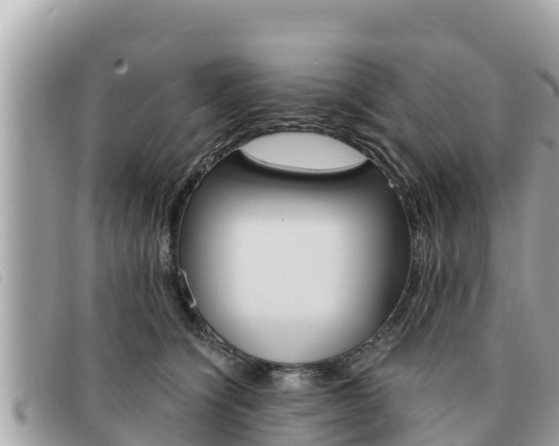 X0000091540564200708171012