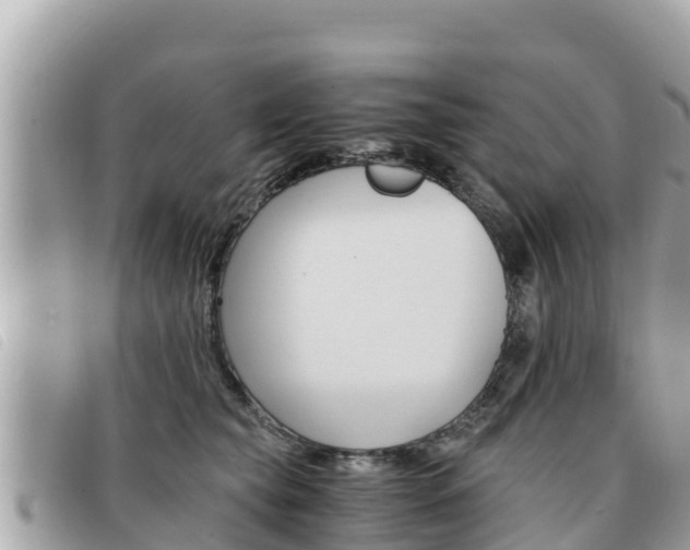 X0000091540565200708171012