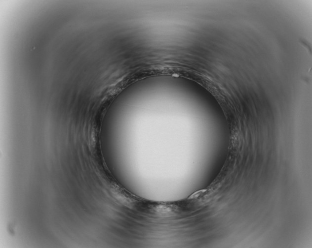 X0000091540566200708171012