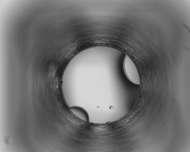X0000091540567200708171012