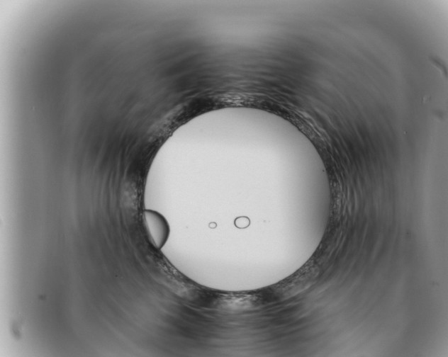 X0000091540569200708171012