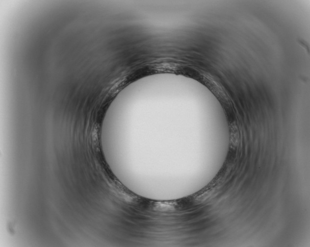 X0000091540573200708171012