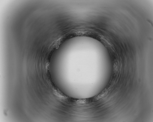 X0000091540574200708171012