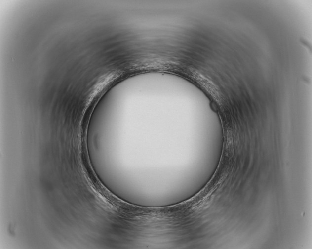X0000091540578200708171012