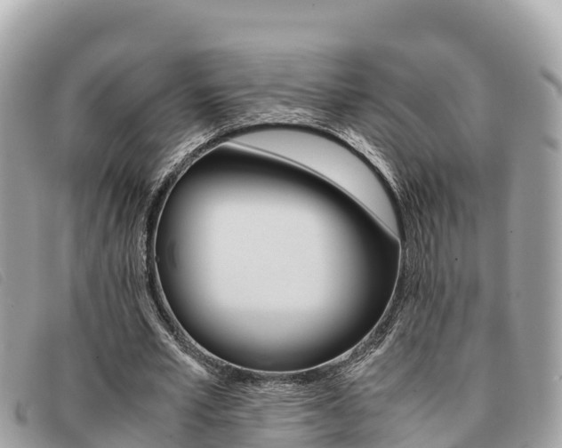 X0000091540581200708171012