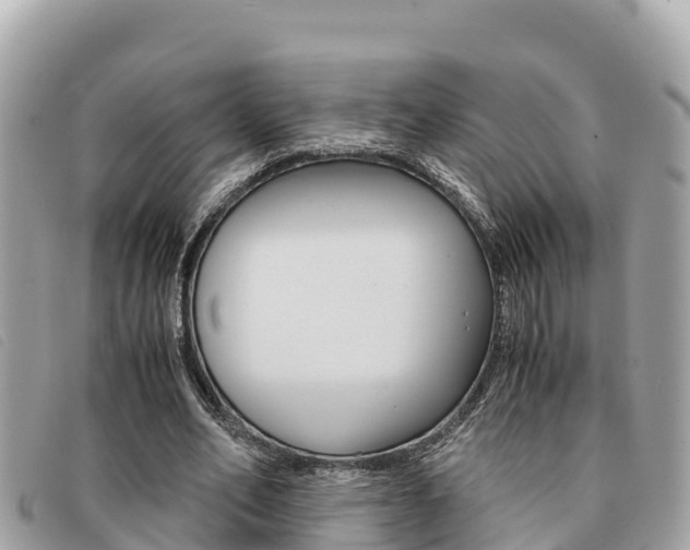 X0000091540582200708171012