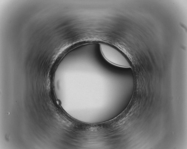 X0000091540584200708171012