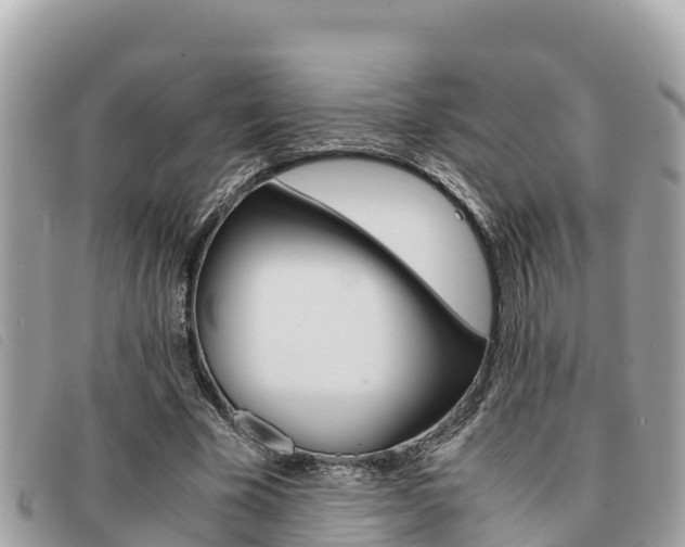 X0000091540585200708171012