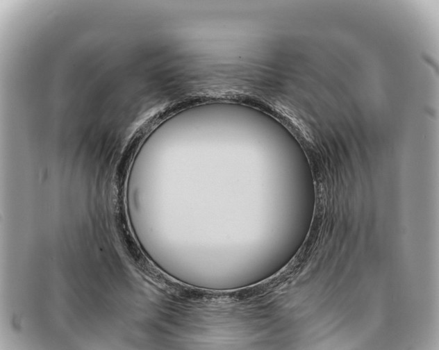 X0000091540587200708171011