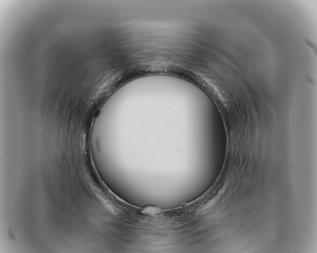 X0000091540589200708171011
