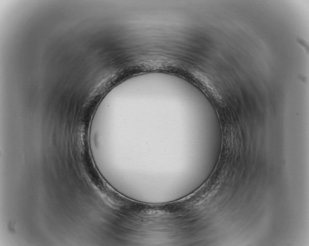 X0000091540590200708171011