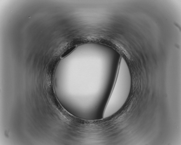 X0000091540593200708171011