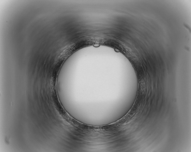 X0000091540594200708171011