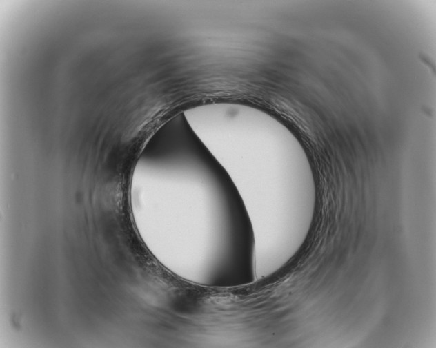 X0000091540595200708171011