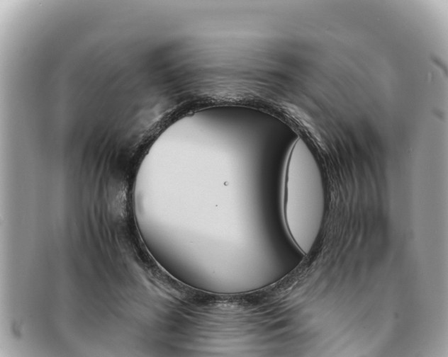 X0000091540596200708171011