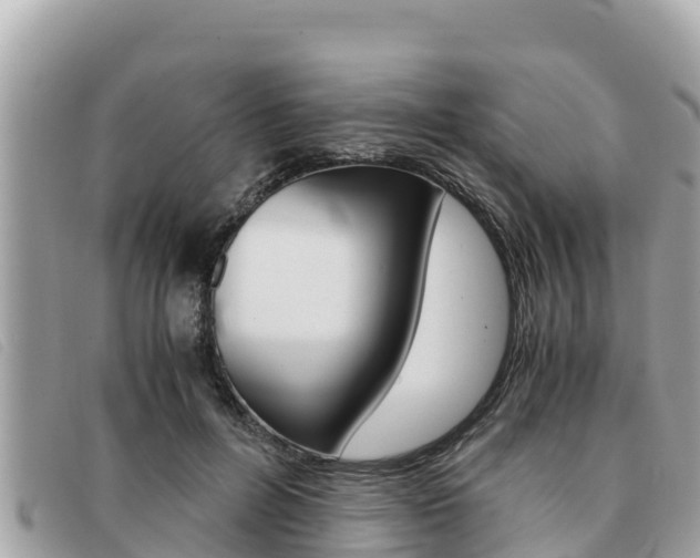 X0000091540600200708171011