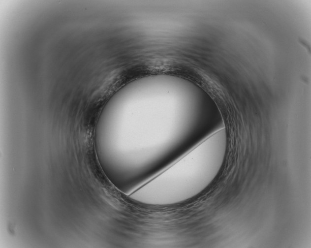 X0000091540601200708171011