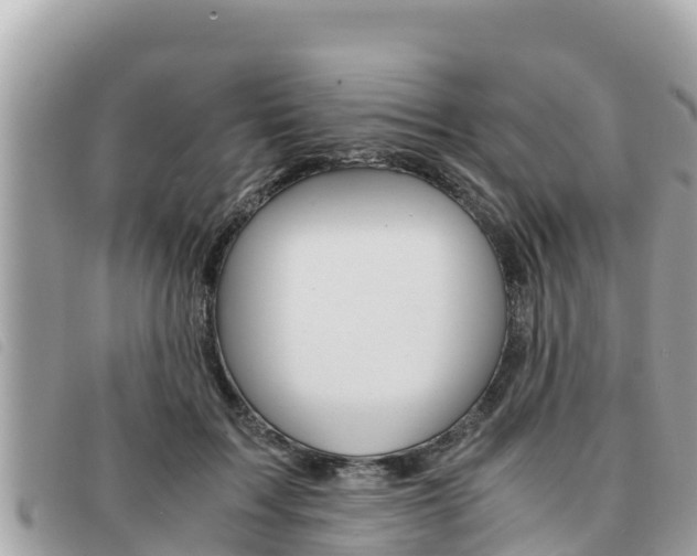 X0000091540603200708171011
