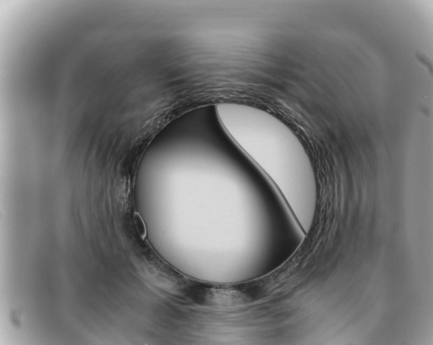 X0000091540605200708171011