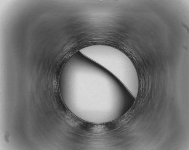 X0000091540609200708171011
