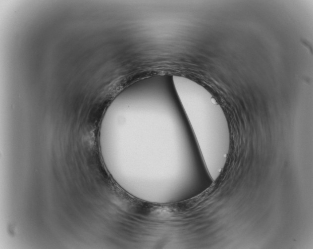 X0000091540611200708171011