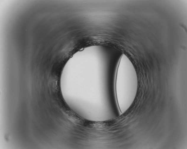 X0000091540615200708171011
