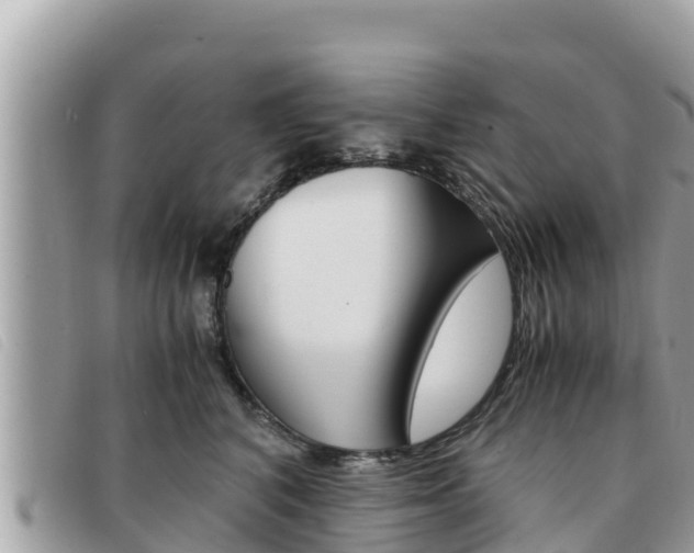 X0000091540616200708171011