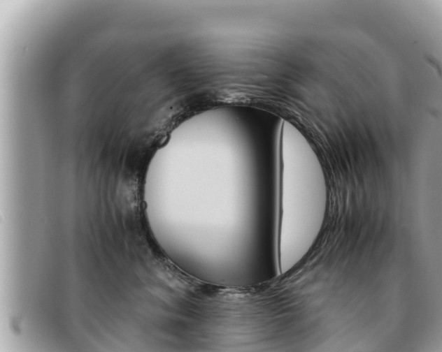 X0000091540620200708171011