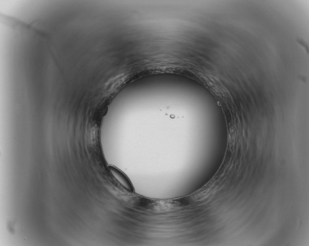 X0000091540623200708171011