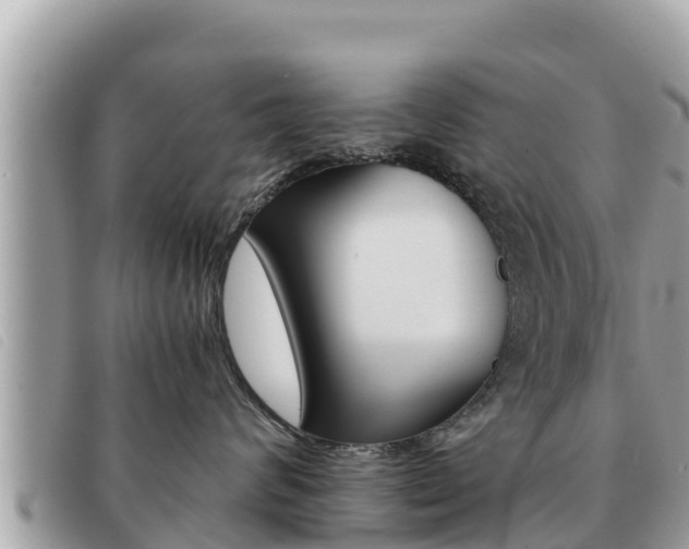 X0000091540624200708171011