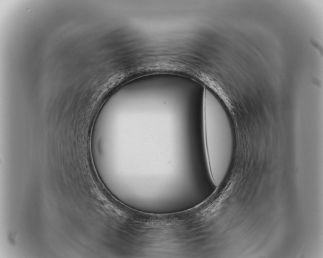 X0000091540625200708171010
