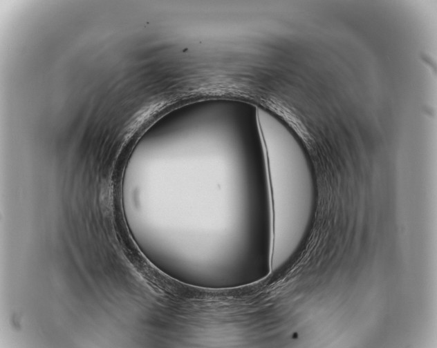 X0000091540626200708171010