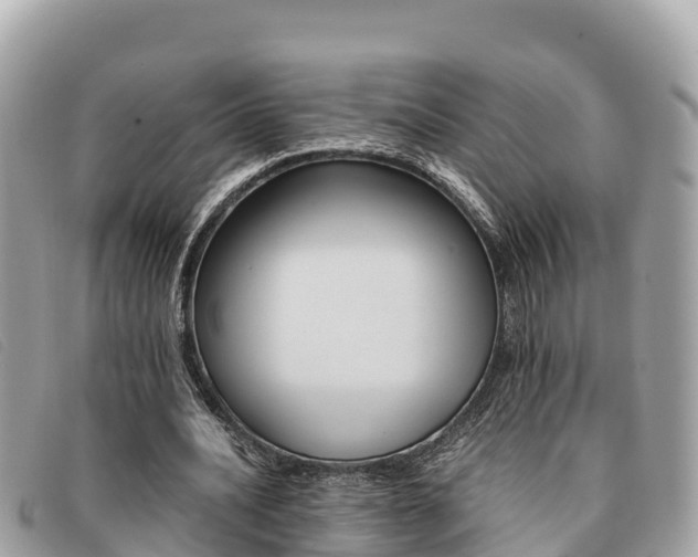 X0000091540628200708171011