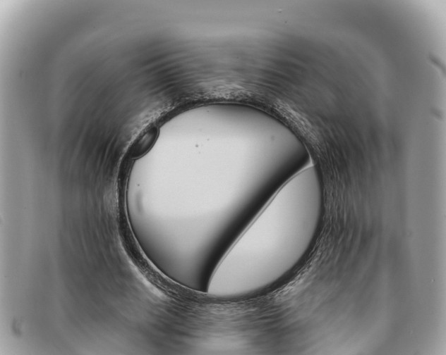 X0000091540630200708171011