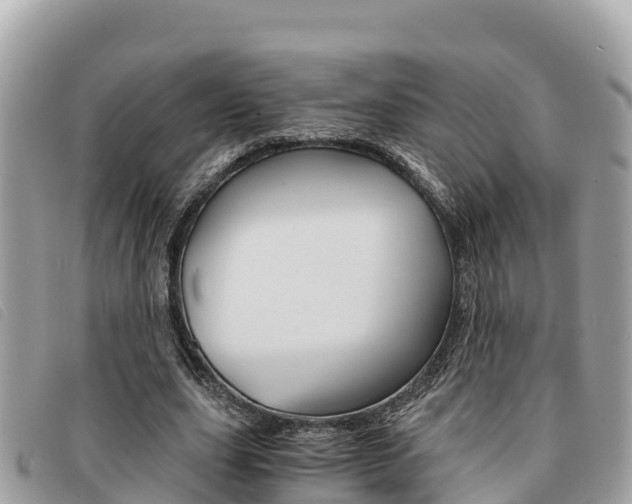 X0000091540631200708171011