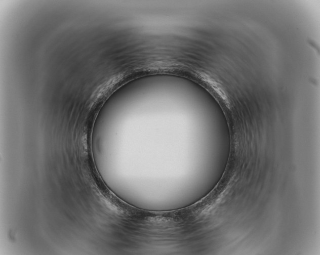 X0000091540633200708171011
